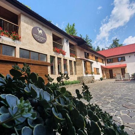 Complex Turistic Caprioara Hotel Baia Mare Exterior foto