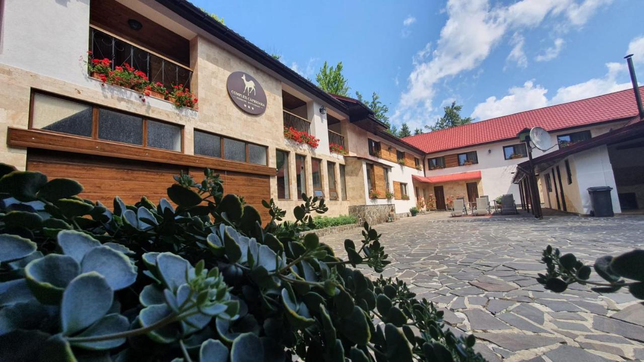 Complex Turistic Caprioara Hotel Baia Mare Exterior foto
