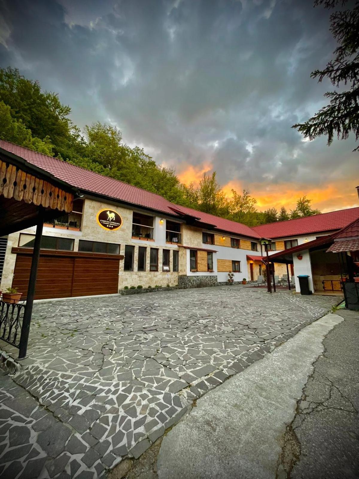 Complex Turistic Caprioara Hotel Baia Mare Exterior foto