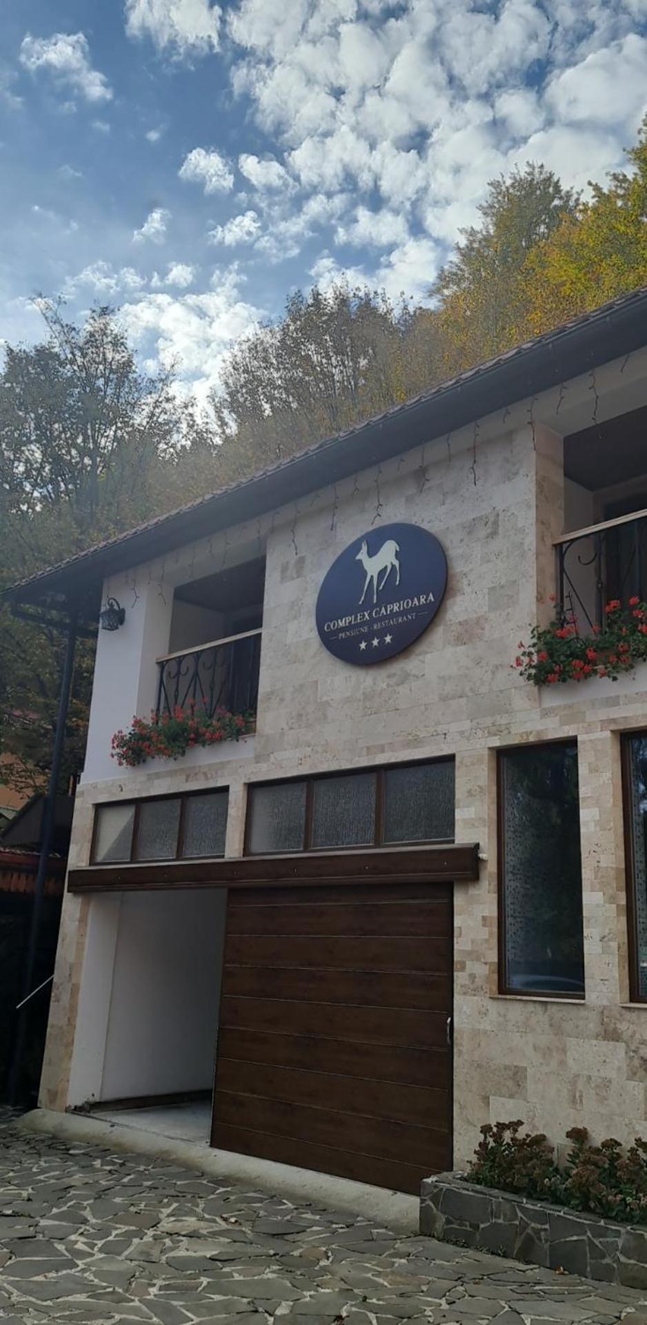 Complex Turistic Caprioara Hotel Baia Mare Exterior foto
